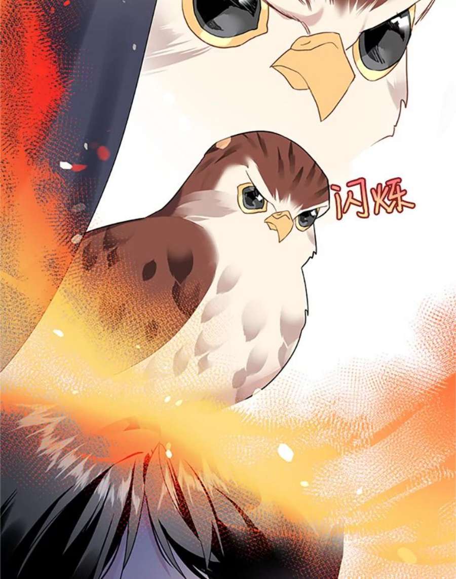 传令鸟公主殿下5.训练生活