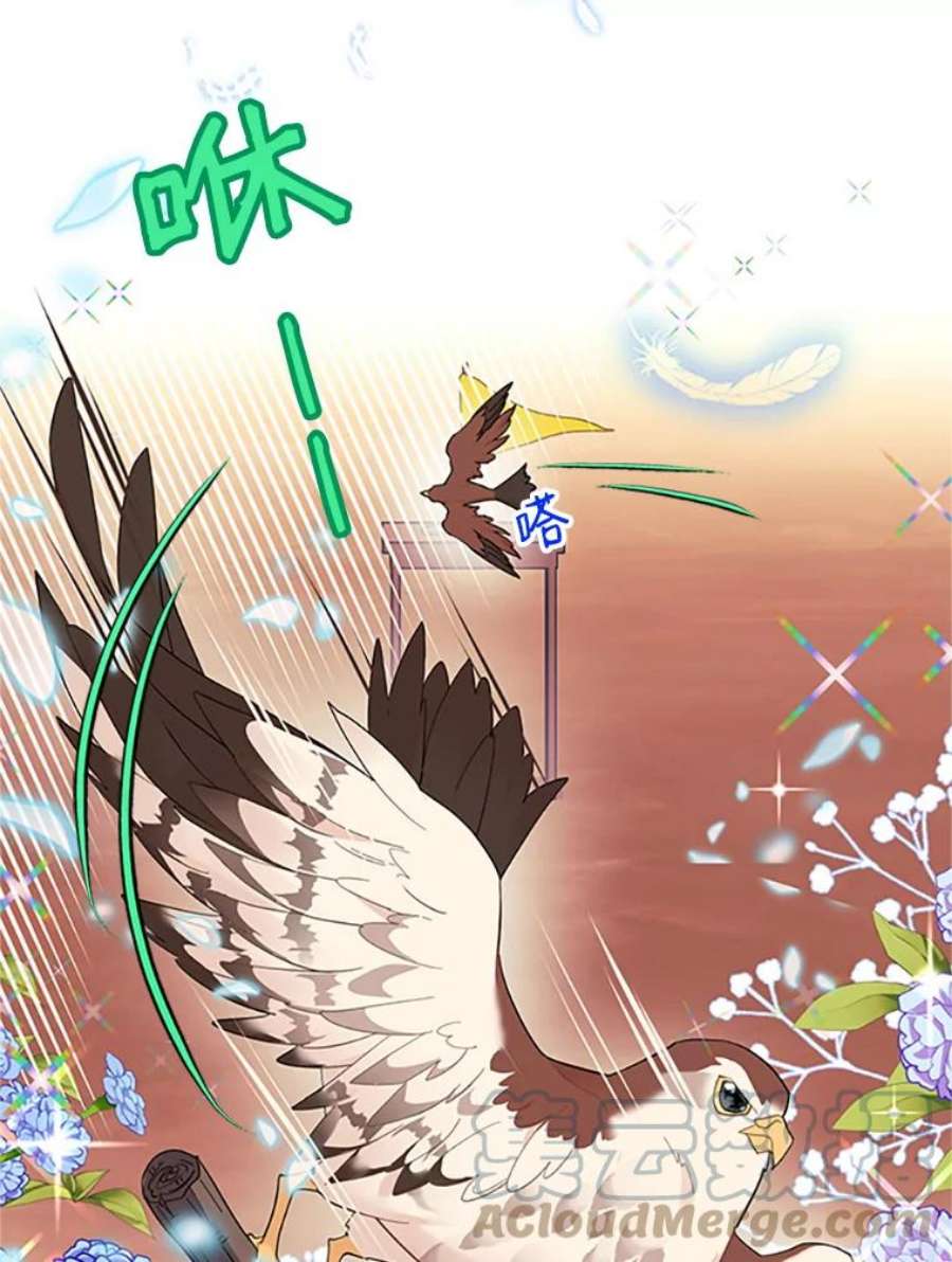 传令鸟公主殿下5.训练生活