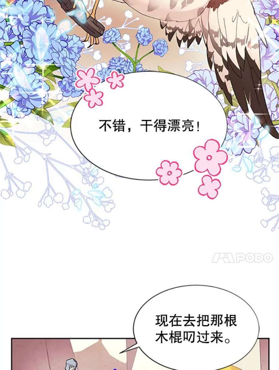 传令鸟公主殿下5.训练生活