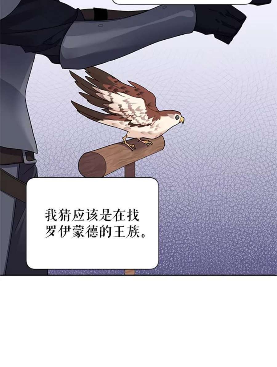 传令鸟公主殿下5.训练生活