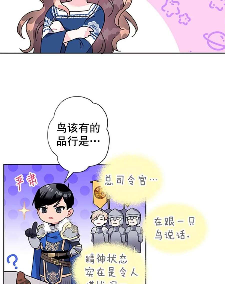 传令鸟公主殿下5.训练生活
