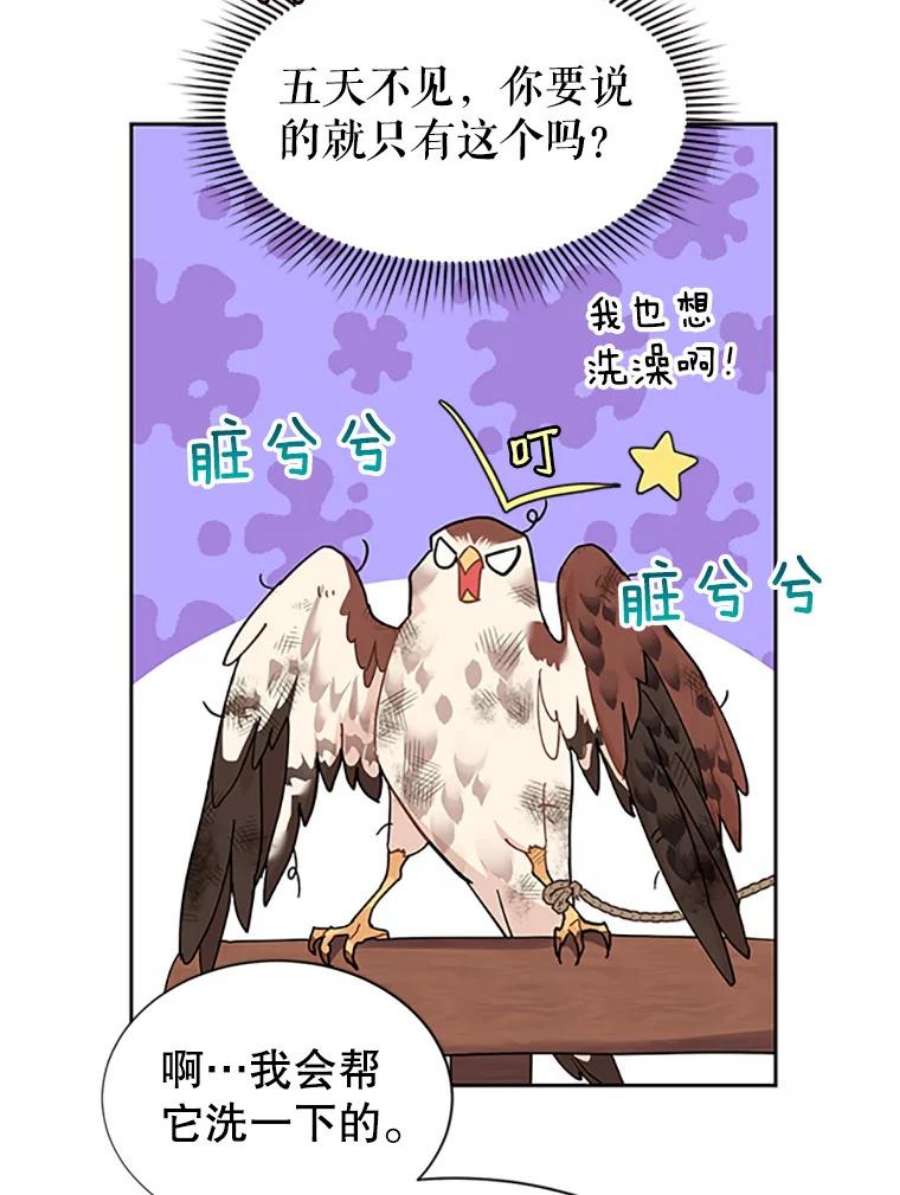 传令鸟公主殿下5.训练生活