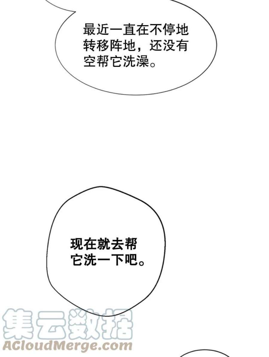 传令鸟公主殿下5.训练生活
