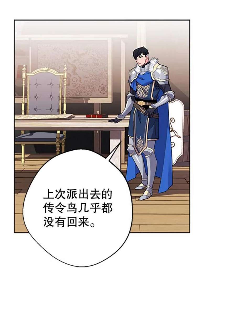 传令鸟公主殿下5.训练生活