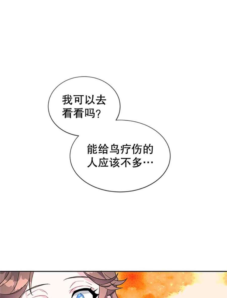 传令鸟公主殿下5.训练生活