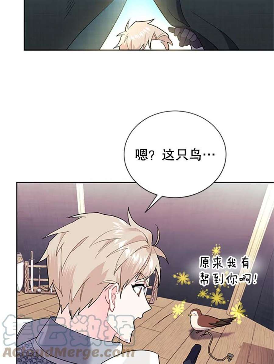 传令鸟公主殿下5.训练生活