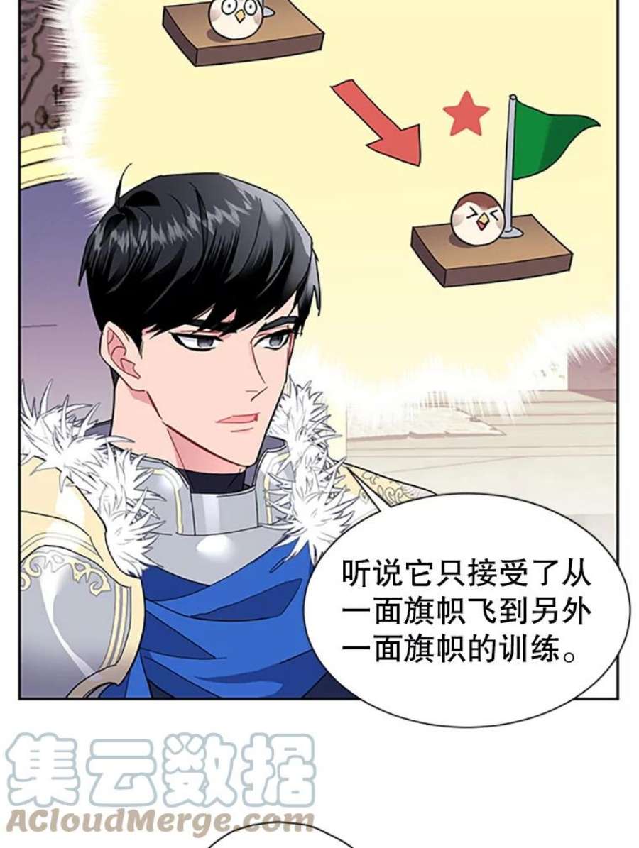 传令鸟公主殿下5.训练生活