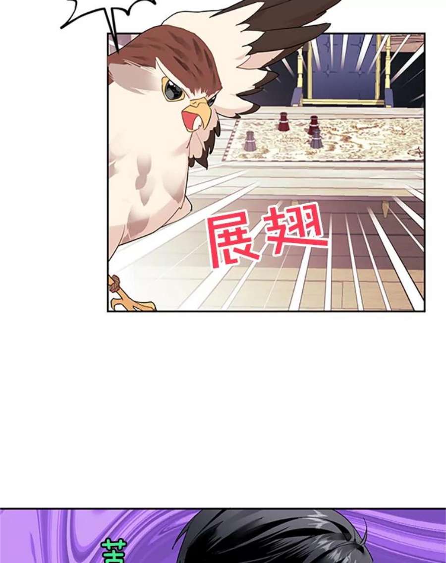 传令鸟公主殿下6.第一次任务