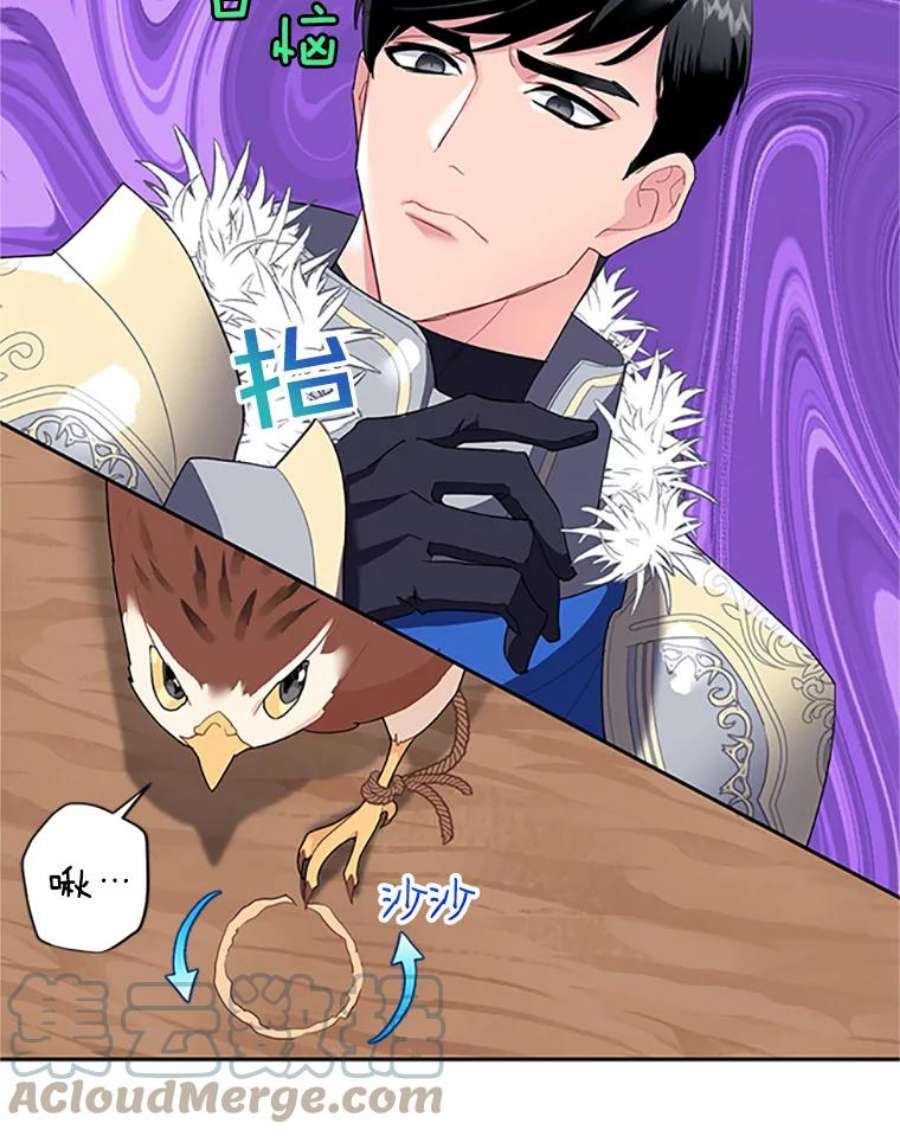 传令鸟公主殿下6.第一次任务