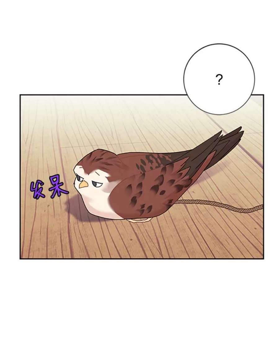 传令鸟公主殿下6.第一次任务