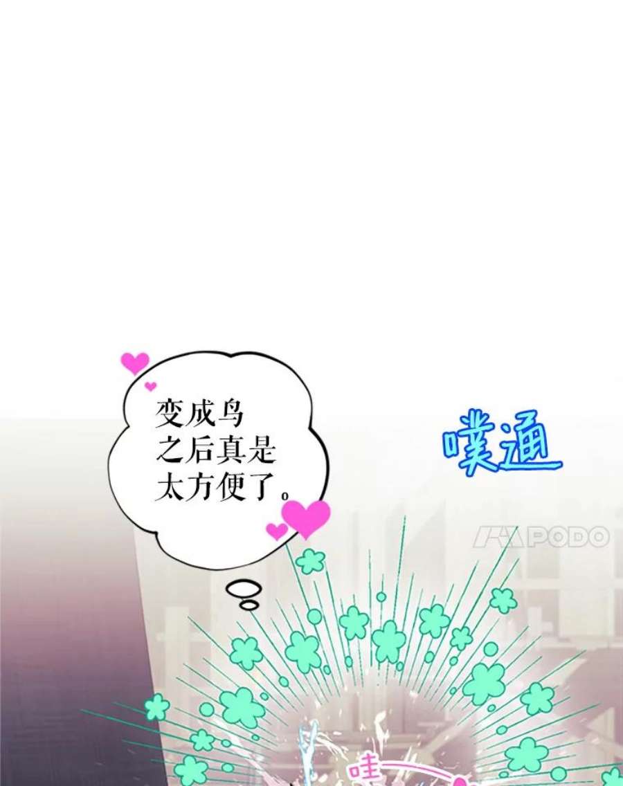 传令鸟公主殿下6.第一次任务