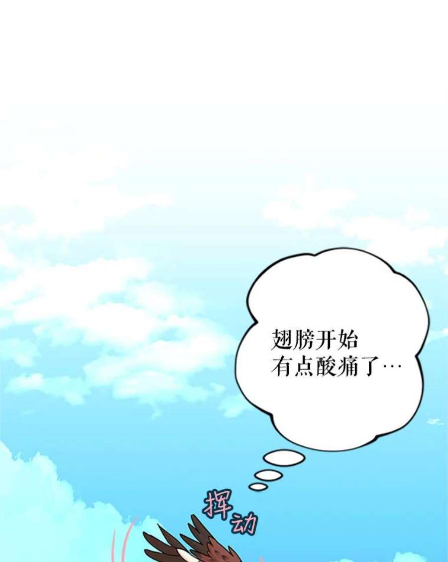 传令鸟公主殿下7.袭击
