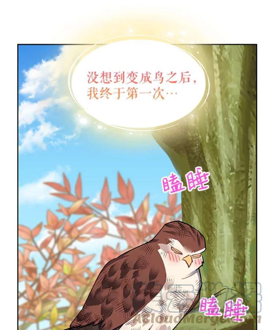 传令鸟公主殿下7.袭击