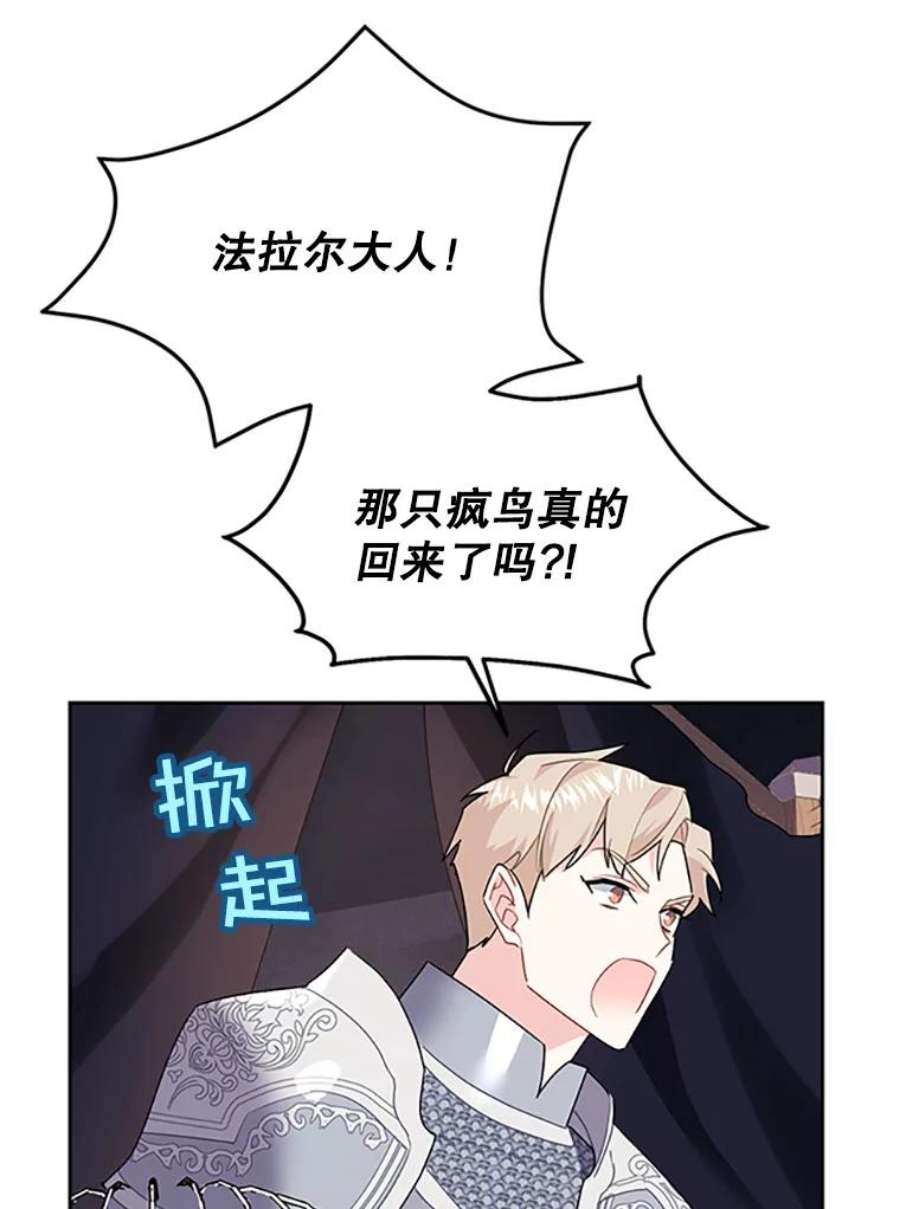 传令鸟公主殿下7.袭击