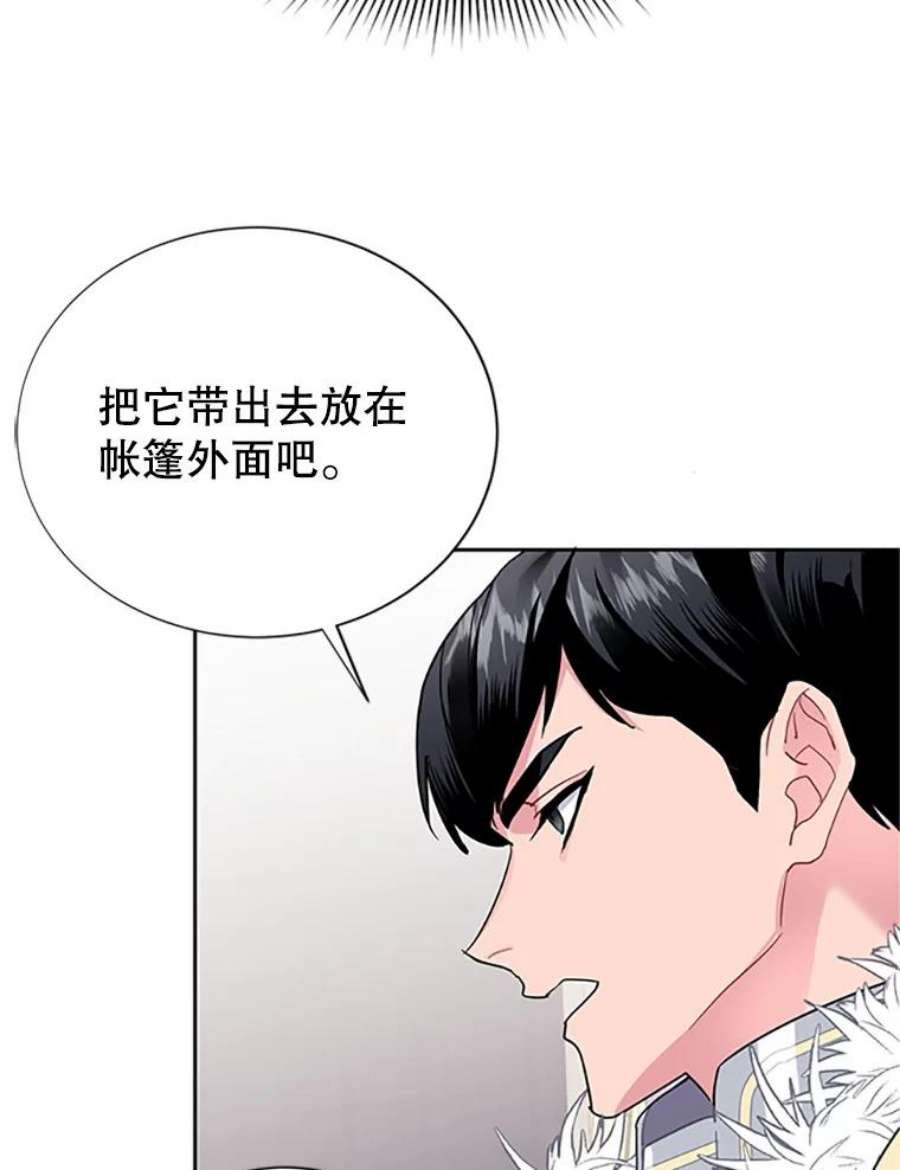 传令鸟公主殿下8.返话罗哈纳