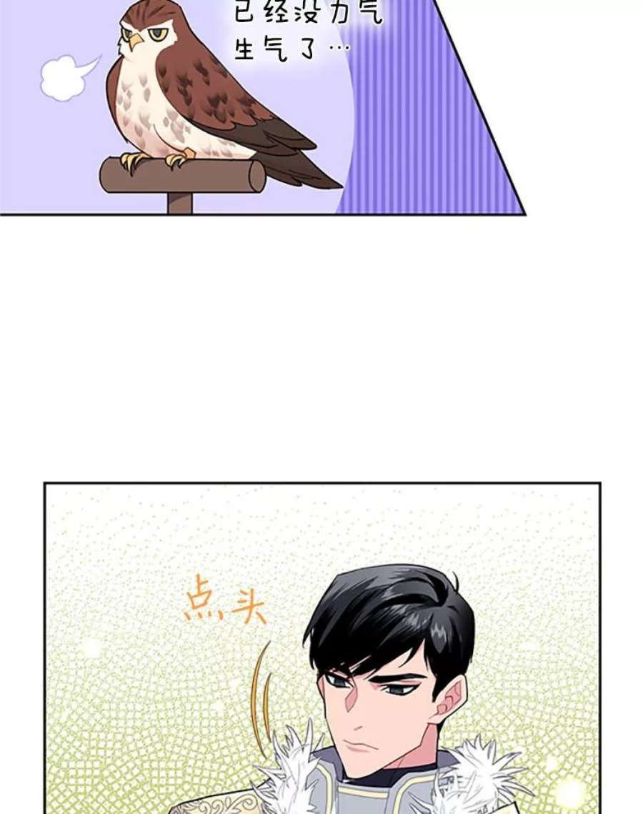 传令鸟公主殿下8.返话罗哈纳