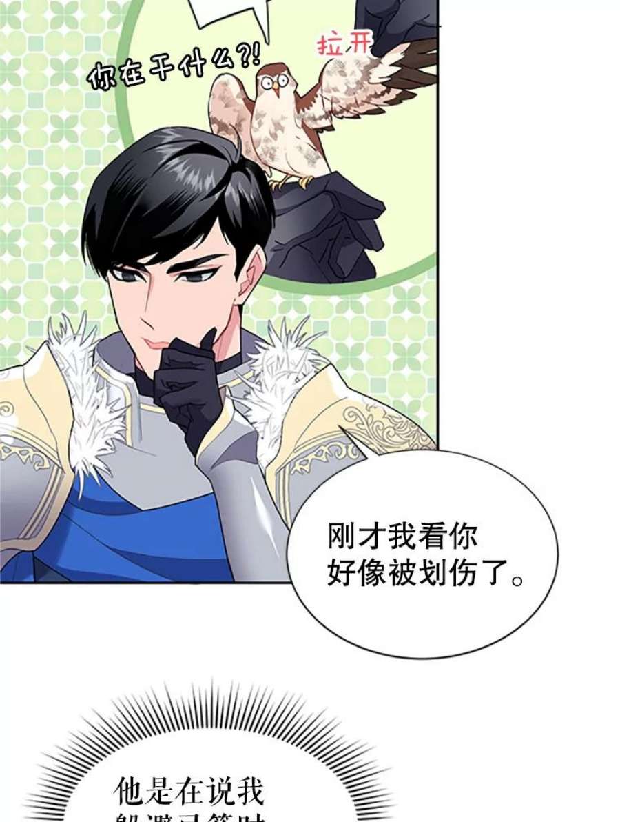 传令鸟公主殿下8.返话罗哈纳
