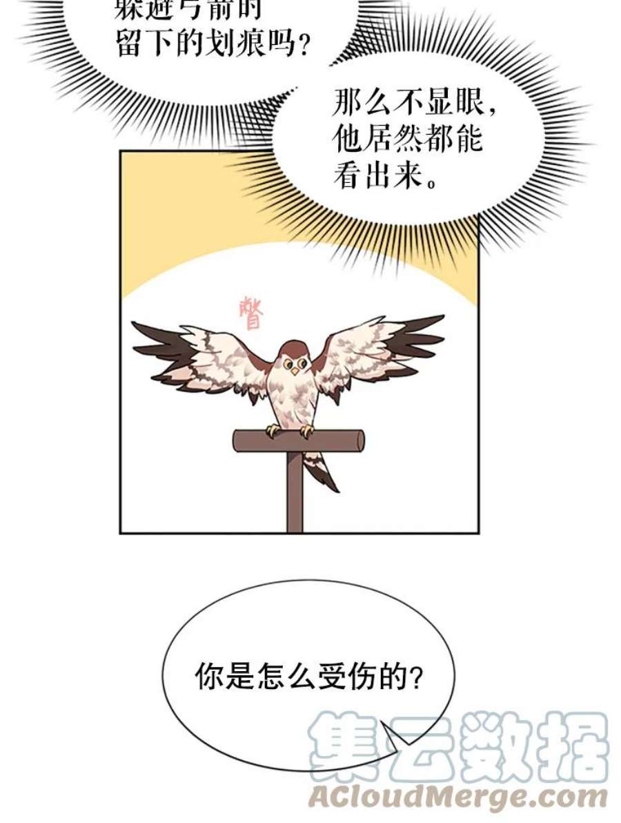 传令鸟公主殿下8.返话罗哈纳