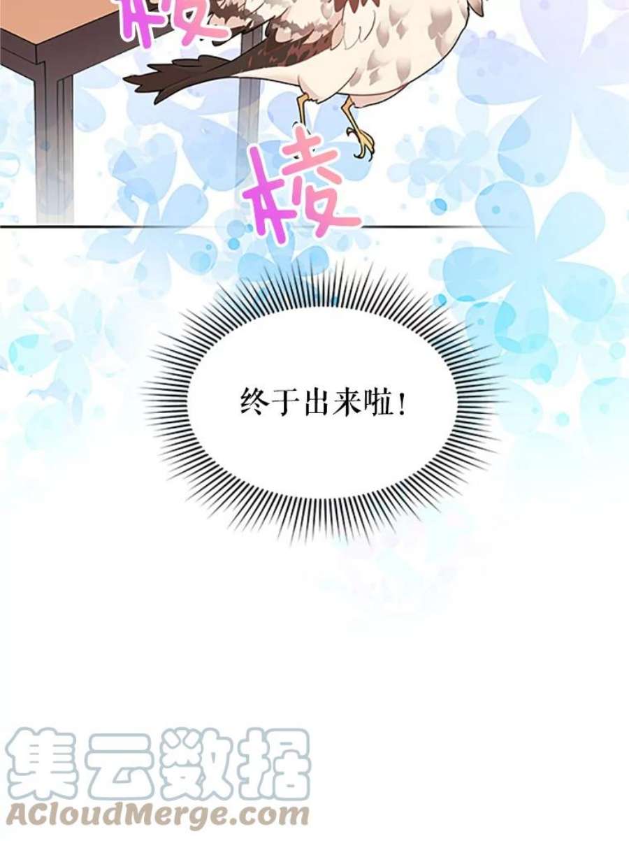 传令鸟公主殿下8.返话罗哈纳