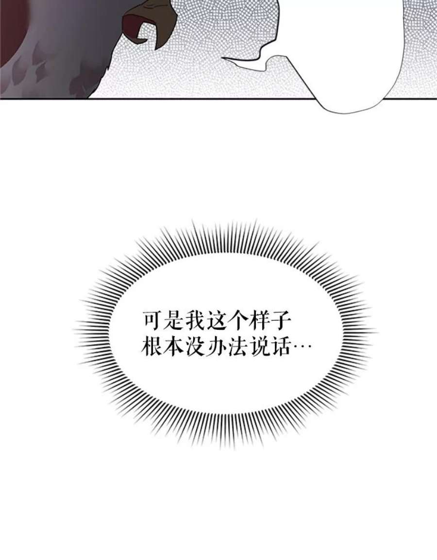 传令鸟公主殿下8.返话罗哈纳