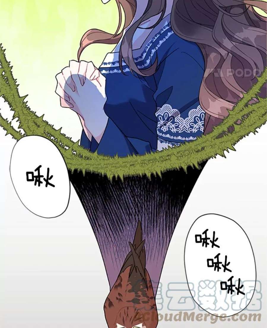 传令鸟公主殿下8.返话罗哈纳