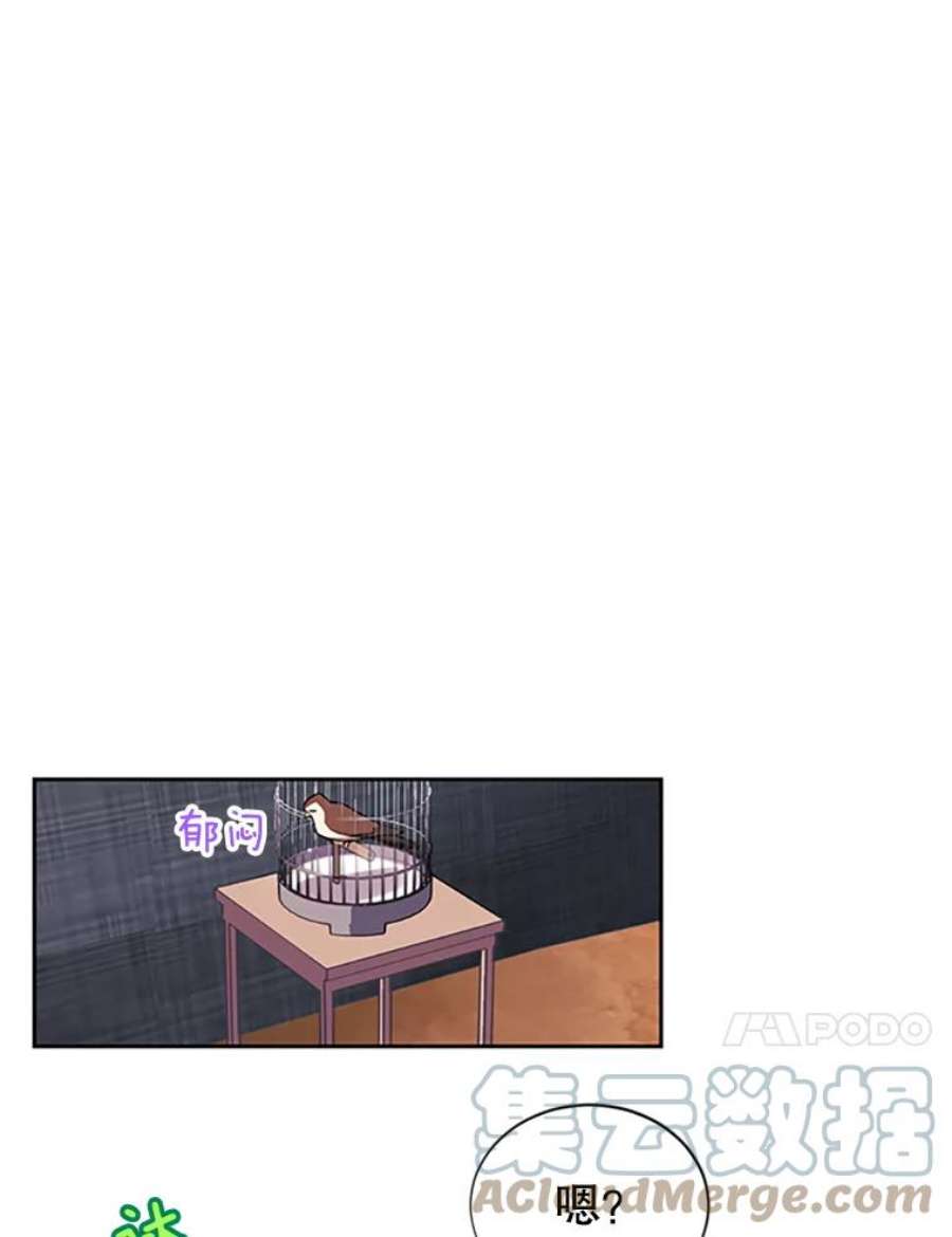 传令鸟公主殿下8.返话罗哈纳