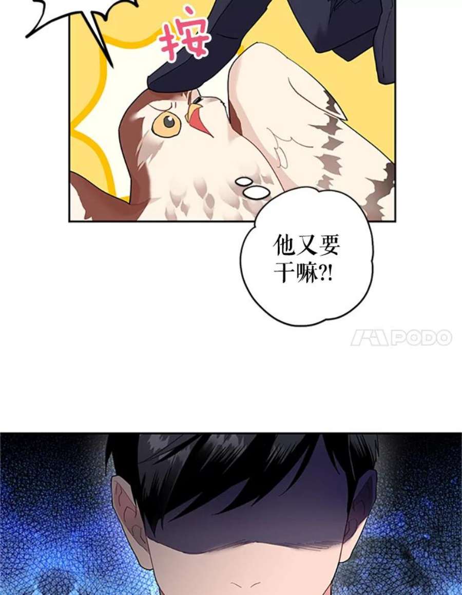传令鸟公主殿下9.第一次任务只是试探？