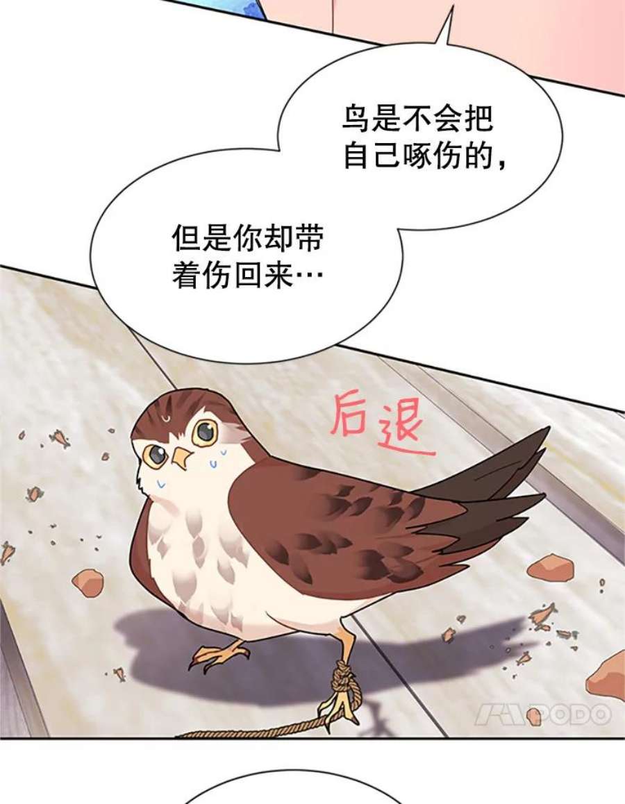 传令鸟公主殿下9.第一次任务只是试探？