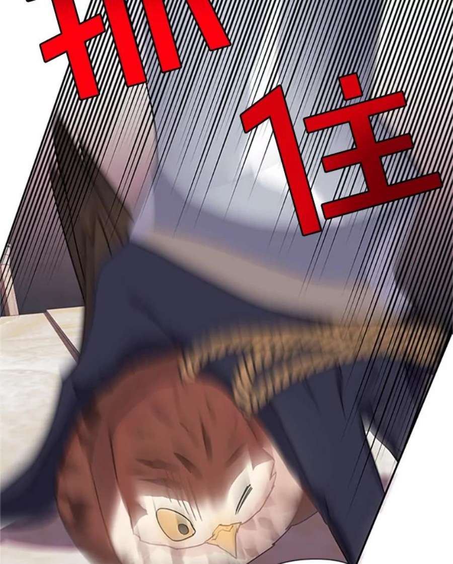 传令鸟公主殿下9.第一次任务只是试探？