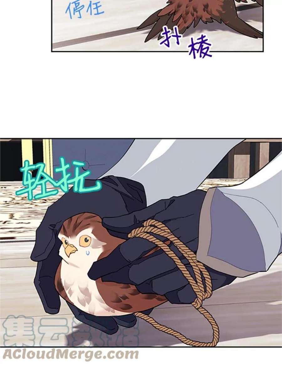 传令鸟公主殿下9.第一次任务只是试探？
