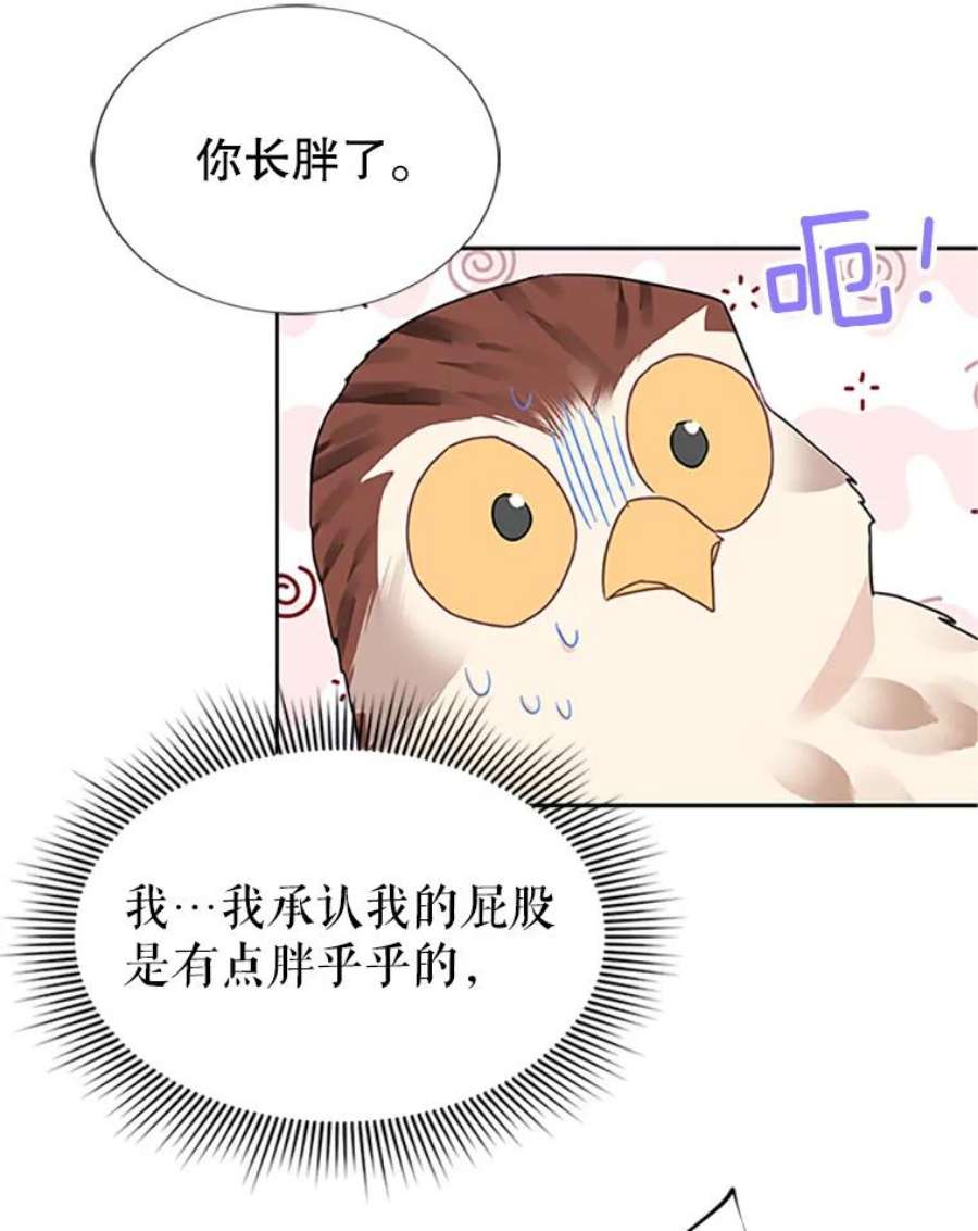 传令鸟公主殿下10.第二次任务