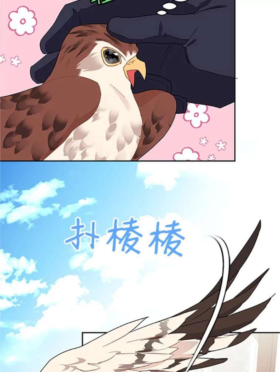 传令鸟公主殿下10.第二次任务