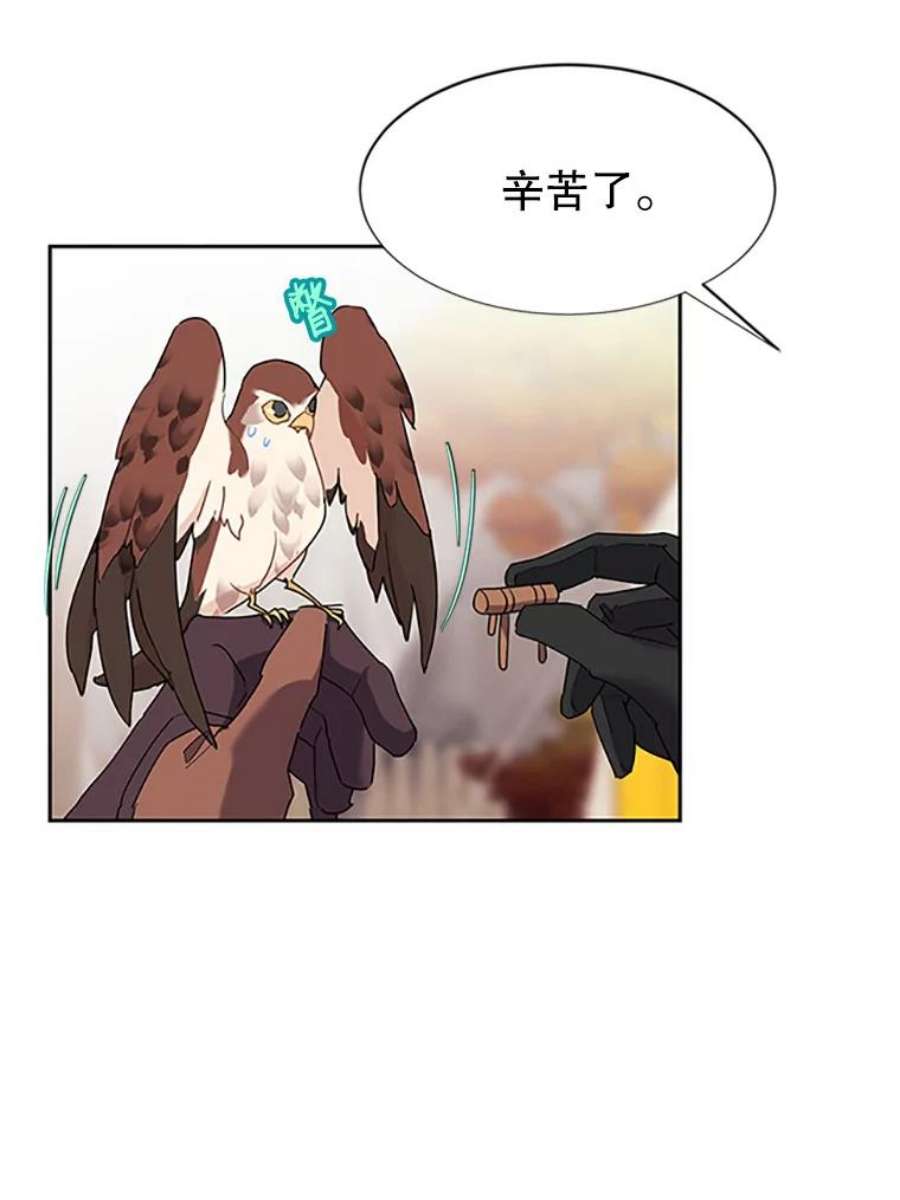 传令鸟公主殿下11.战争与台风