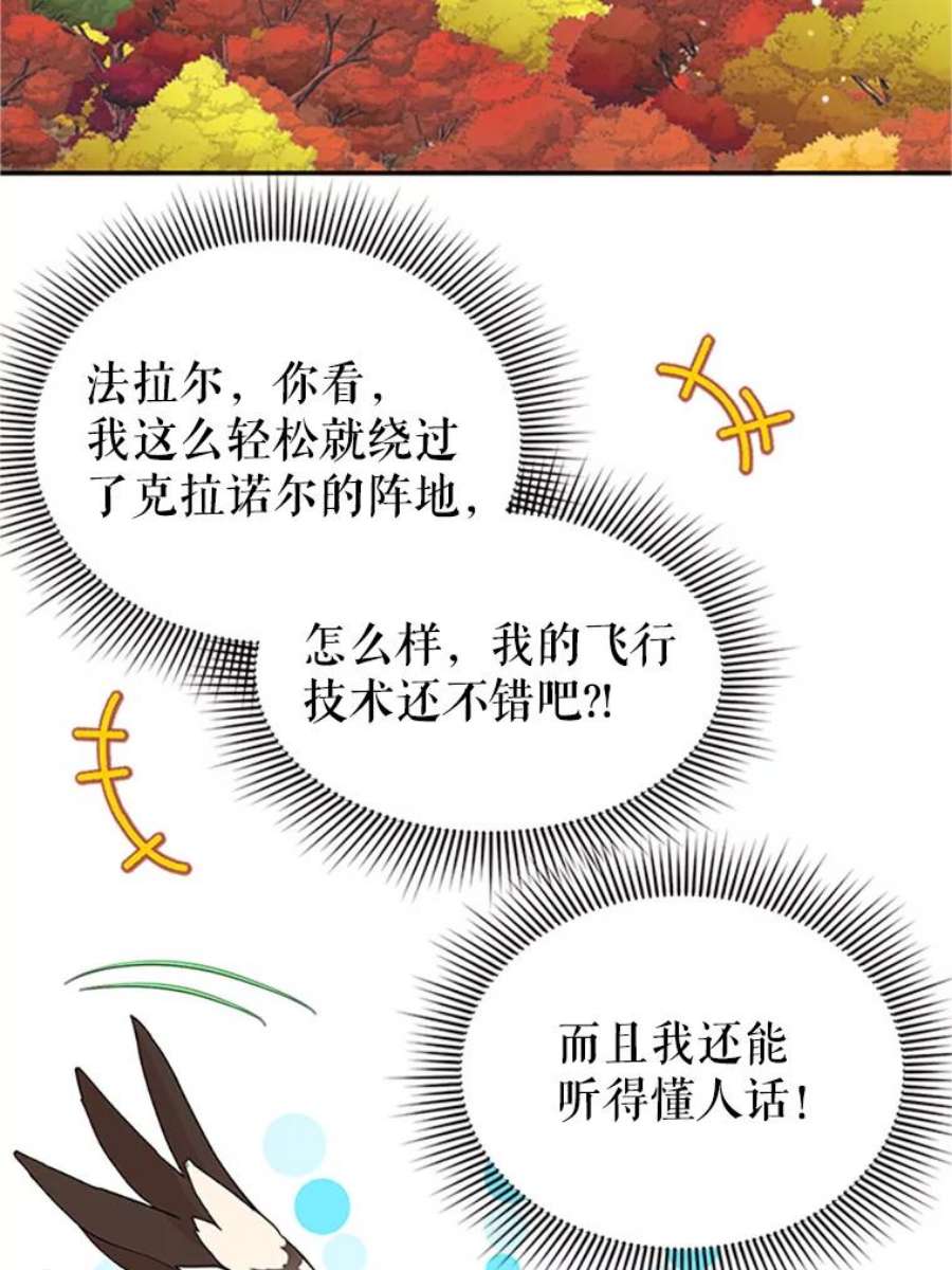 传令鸟公主殿下11.战争与台风