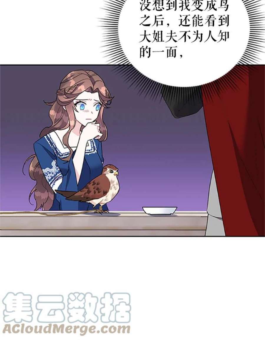 传令鸟公主殿下11.战争与台风