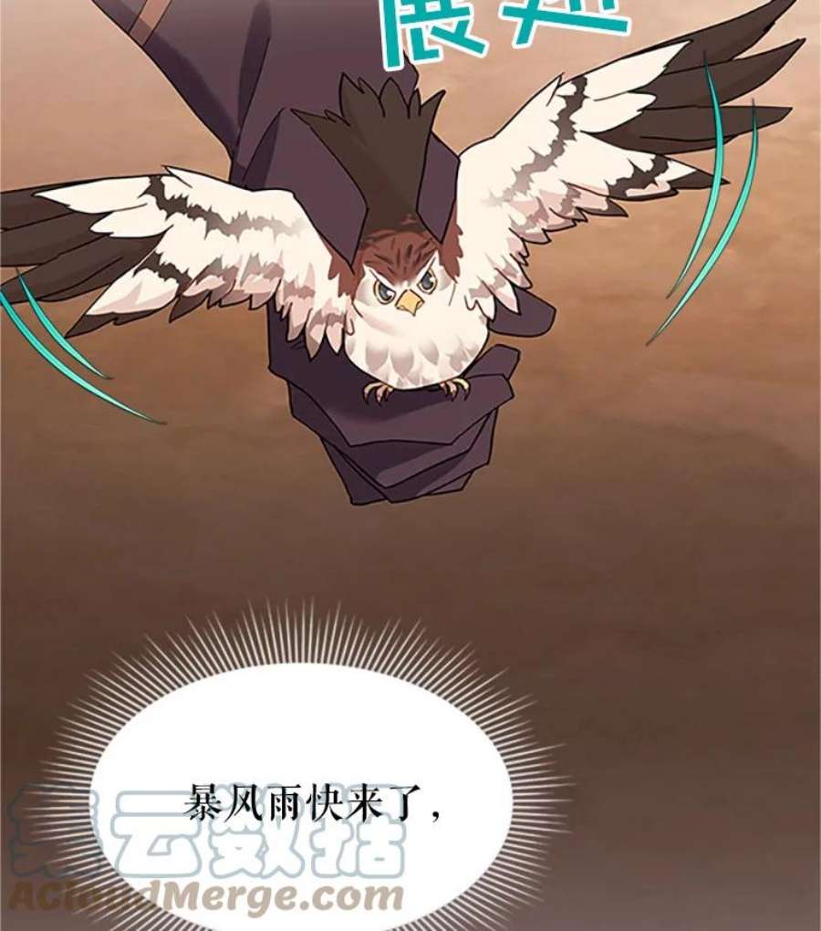 传令鸟公主殿下11.战争与台风