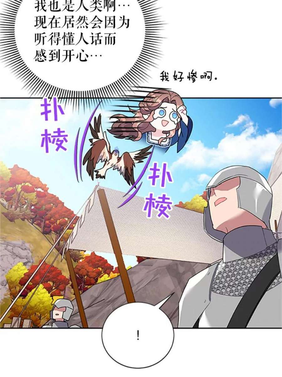 传令鸟公主殿下11.战争与台风