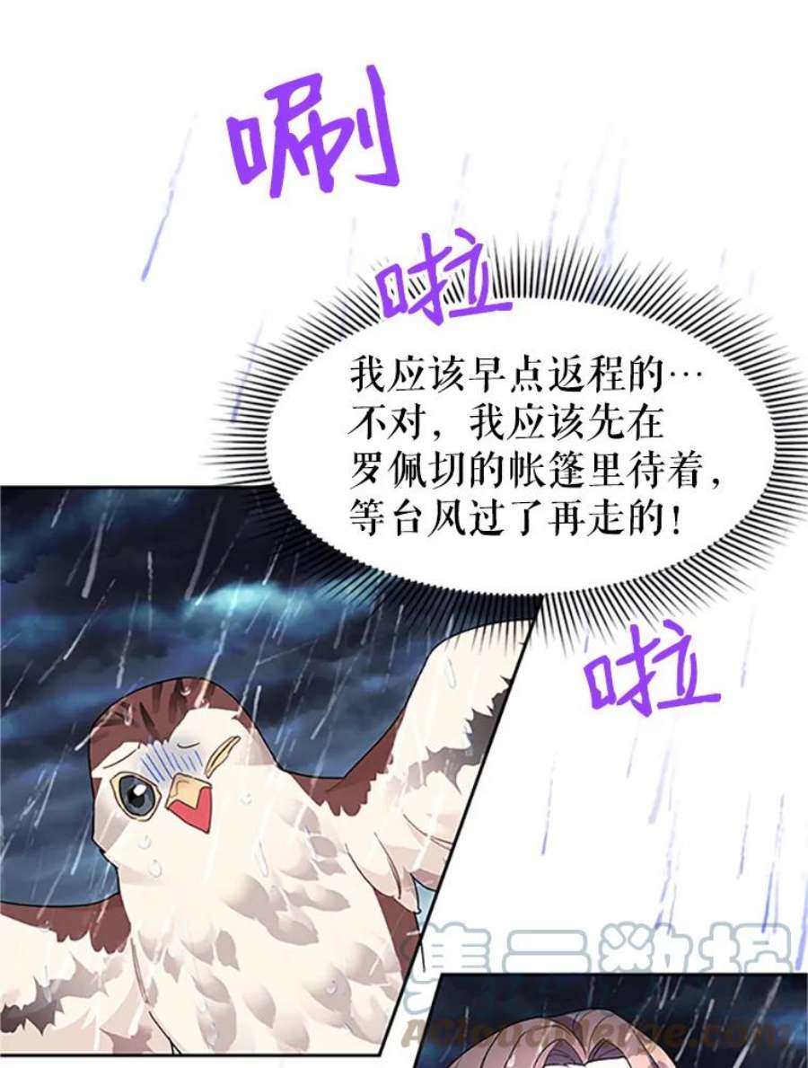 传令鸟公主殿下11.战争与台风