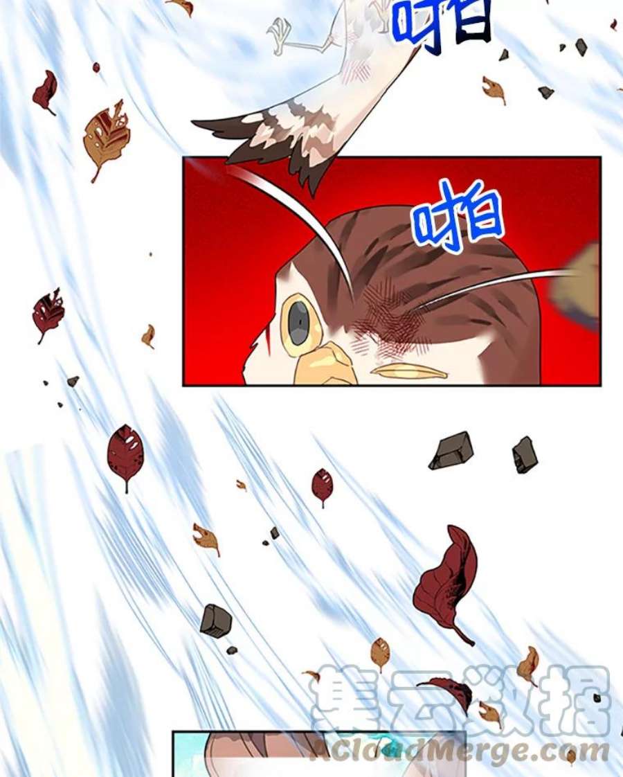 传令鸟公主殿下11.战争与台风