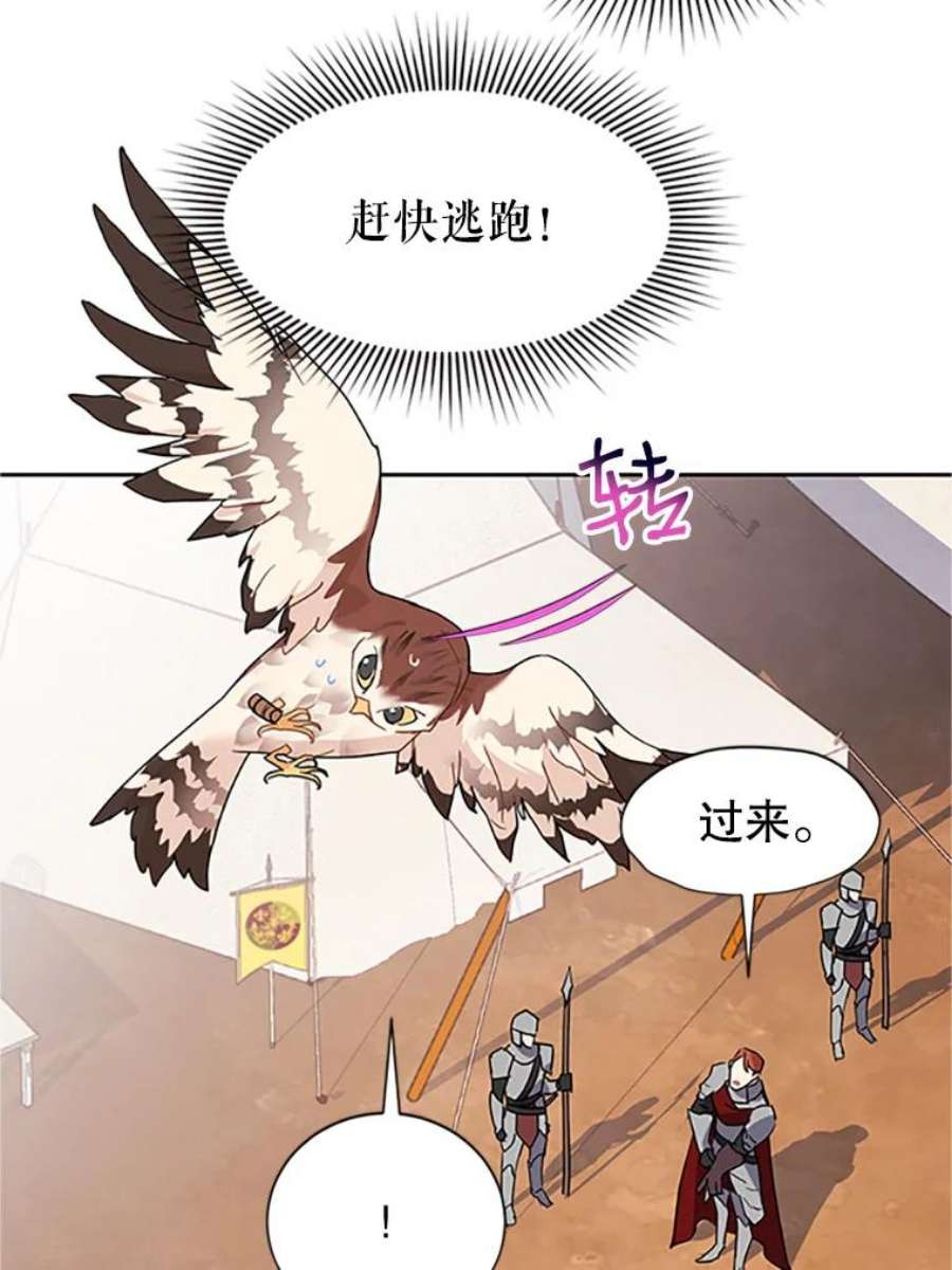 传令鸟公主殿下11.战争与台风