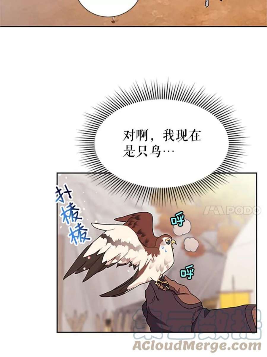 传令鸟公主殿下11.战争与台风