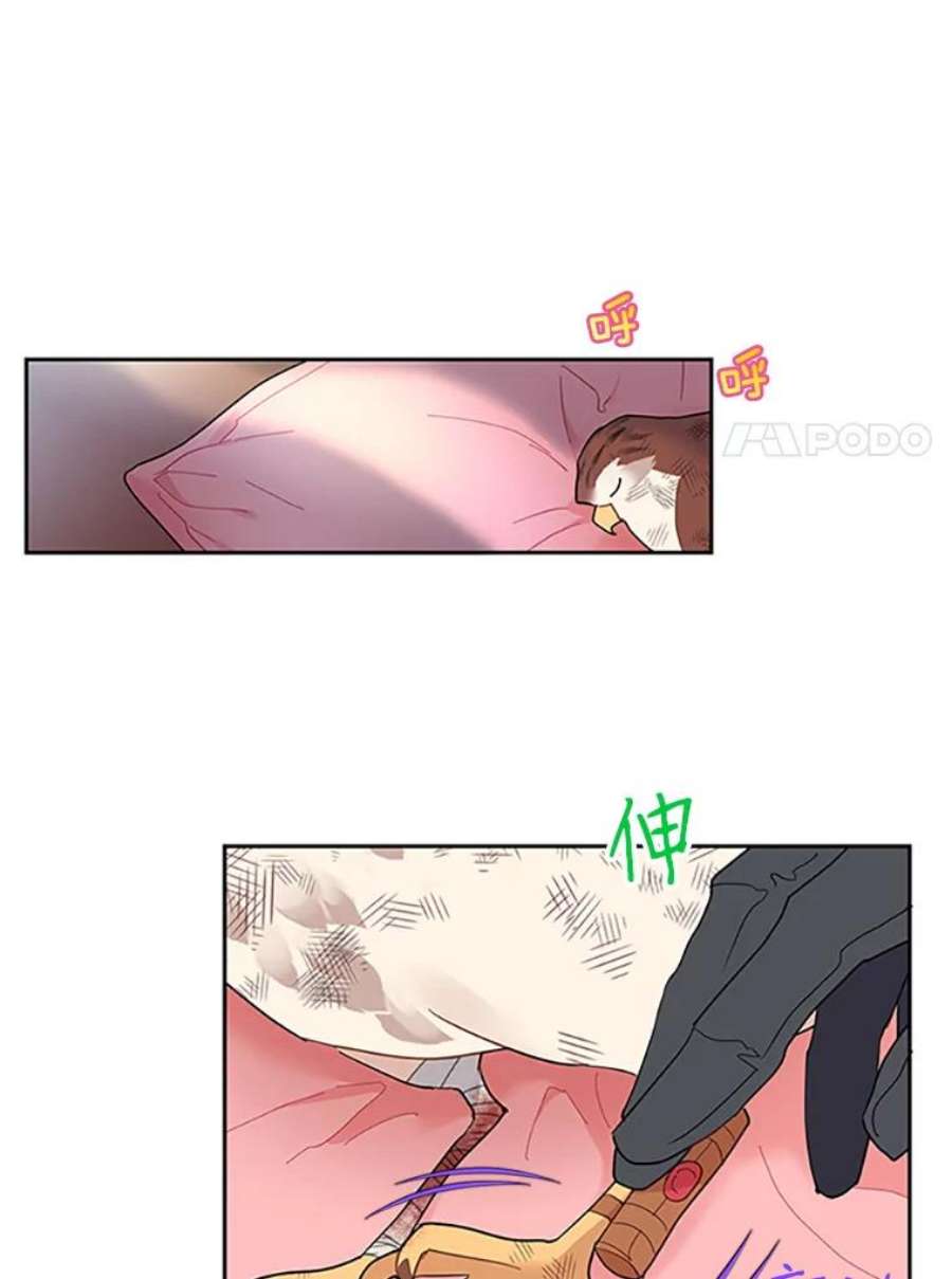 传令鸟公主殿下12.收复东部