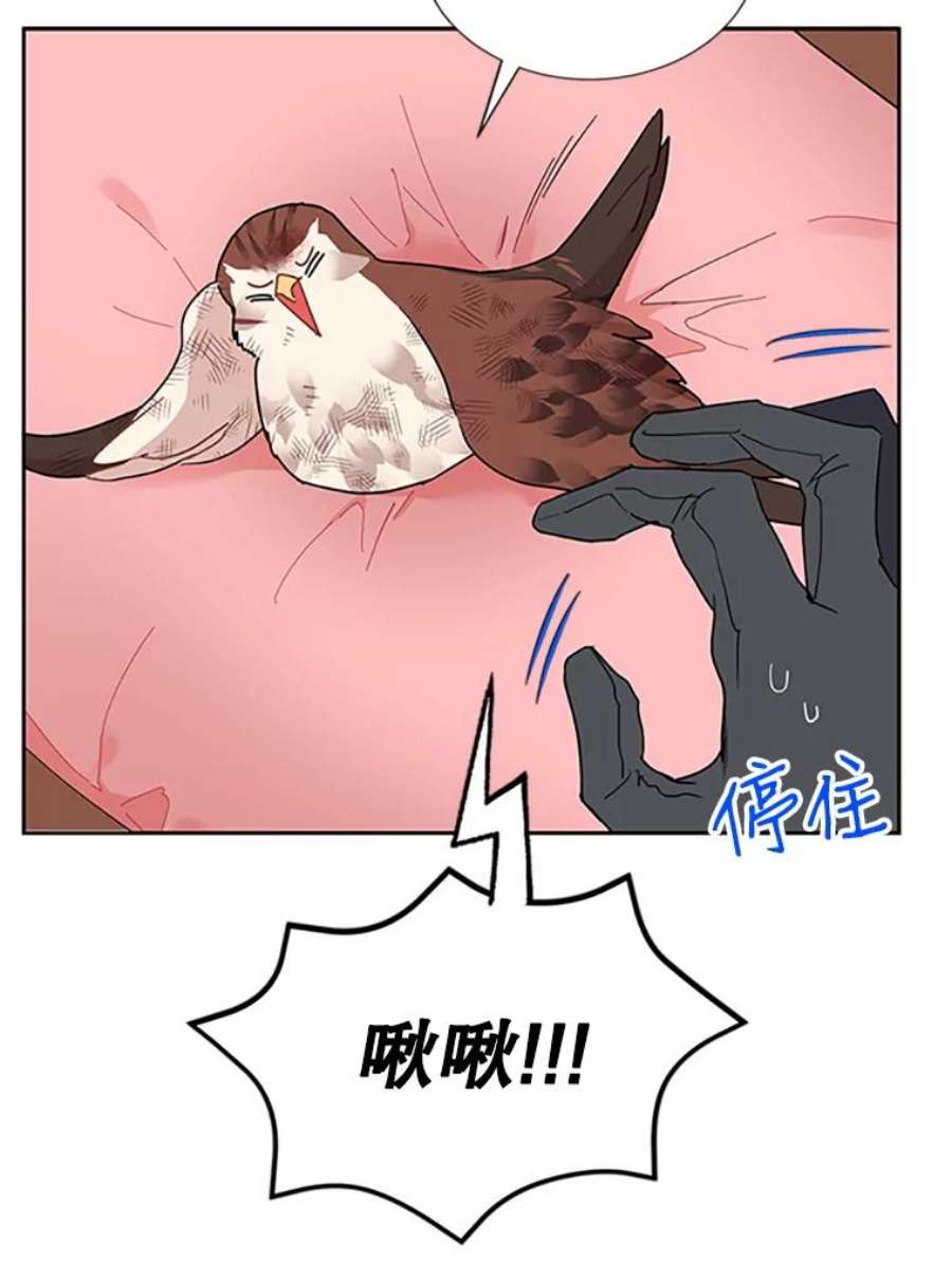 传令鸟公主殿下12.收复东部