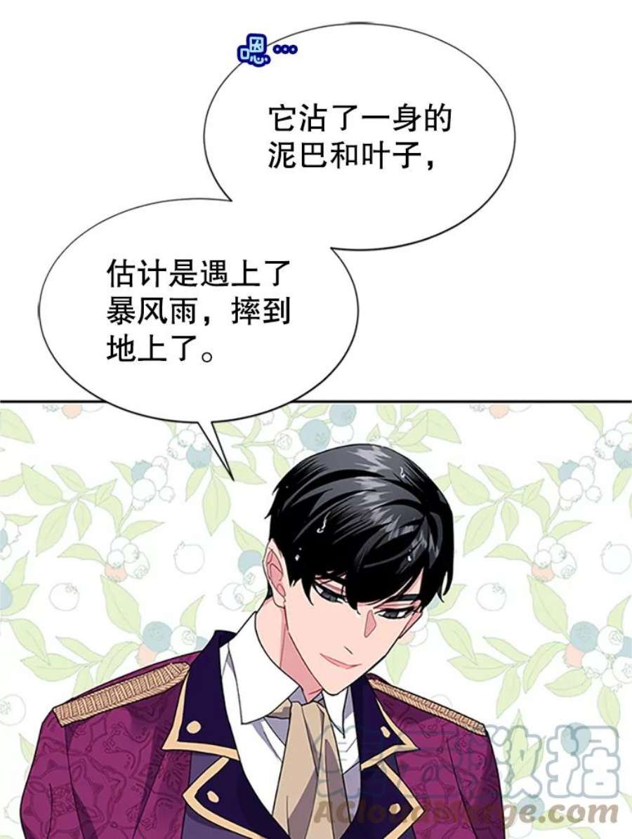 传令鸟公主殿下12.收复东部