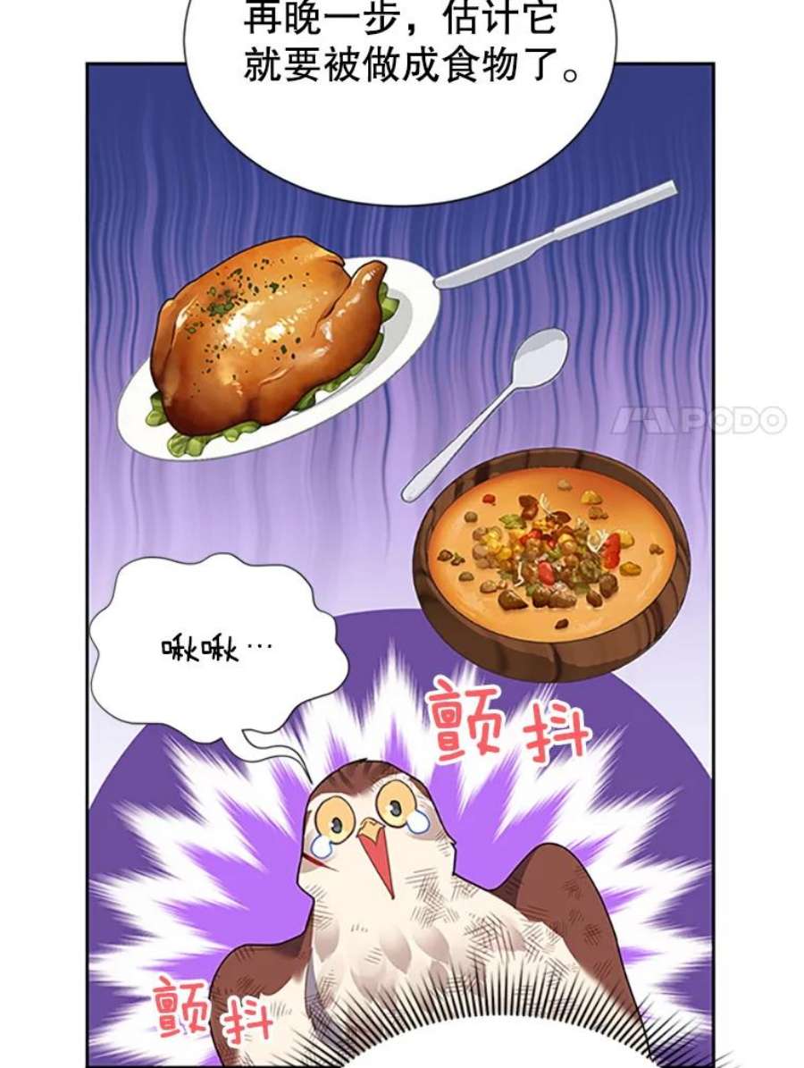 传令鸟公主殿下12.收复东部