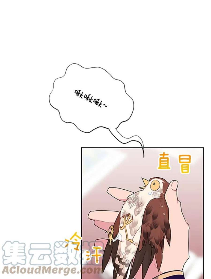 传令鸟公主殿下12.收复东部