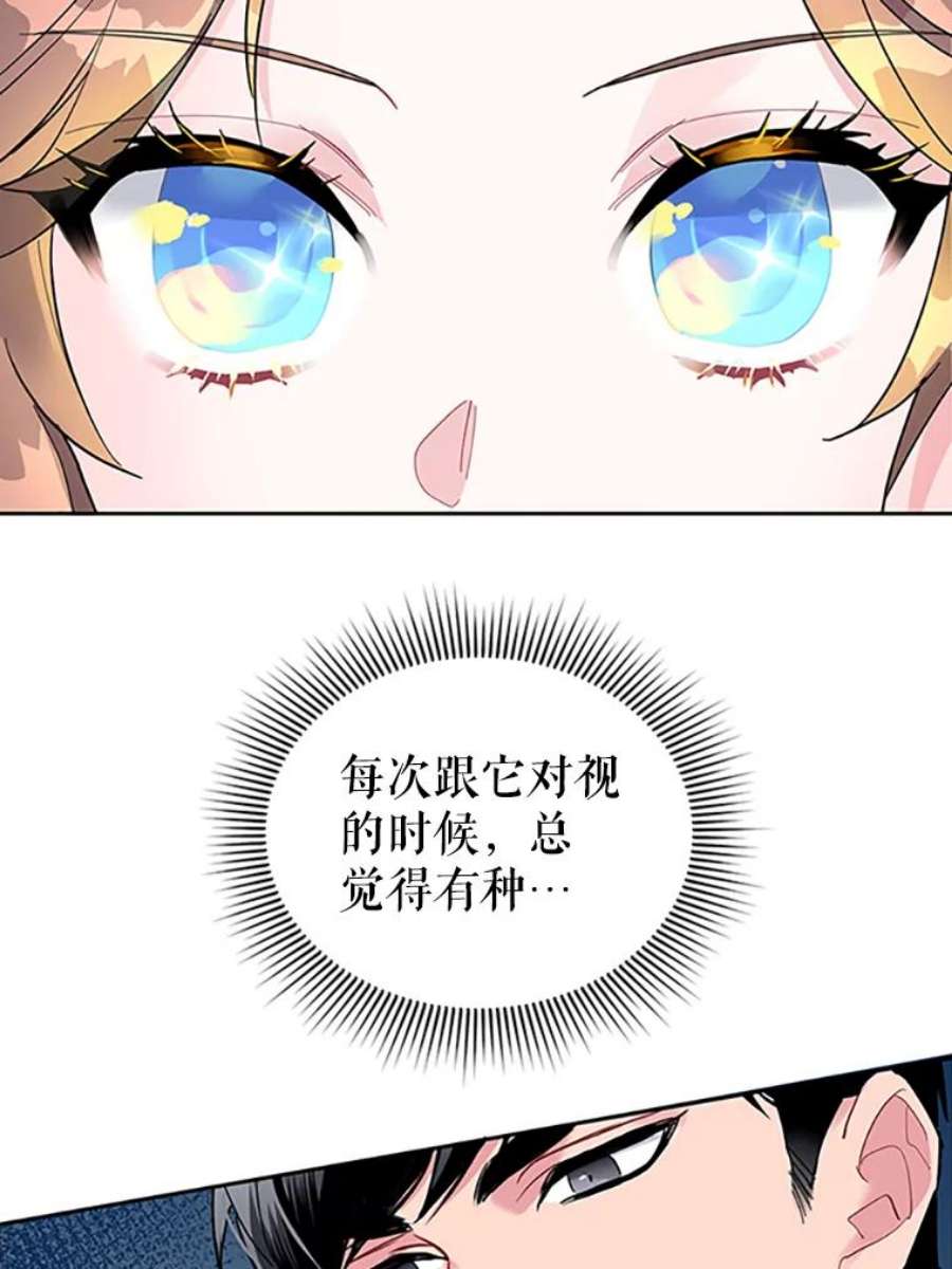 传令鸟公主殿下14.第三次任务