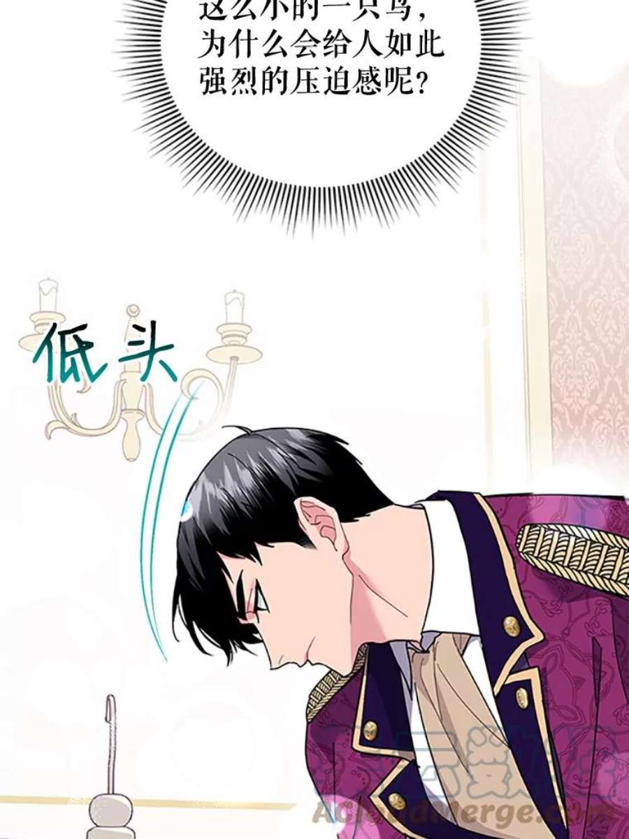 传令鸟公主殿下14.第三次任务