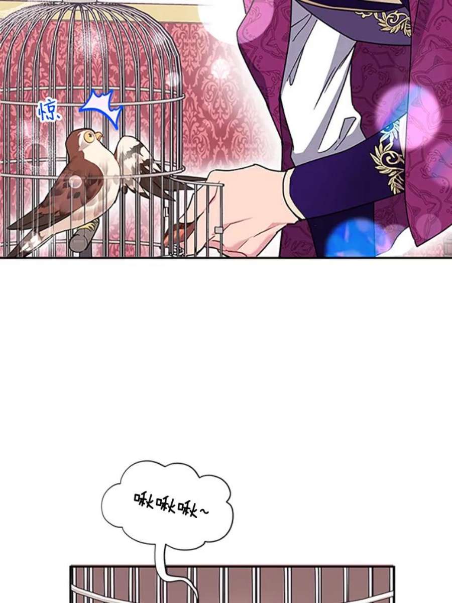 传令鸟公主殿下14.第三次任务