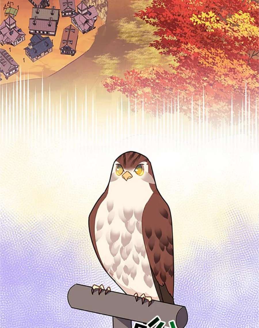 传令鸟公主殿下14.第三次任务
